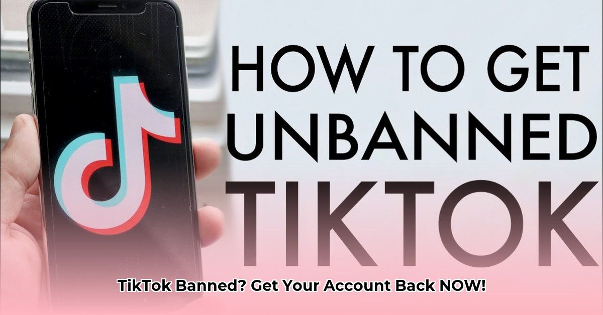 get-unbanned-tiktok